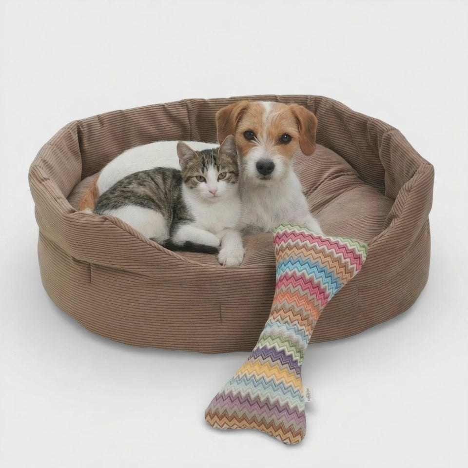 Ein kleiner Hund und eine grau-weiße Katze liegen gemeinsam kuschelnd im braunen Cord-Hundekörbchen.