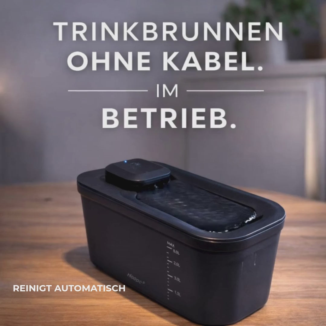 Trinkbrunnen aktiv