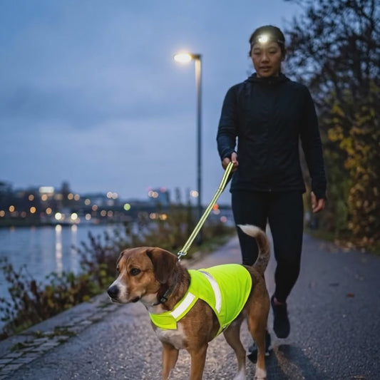 Reflektierende Hunde-Sicherheitsweste (Neongelb)