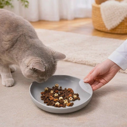 Flacher Katzennapf aus Porzellan gegen Schnurrhaar Stress