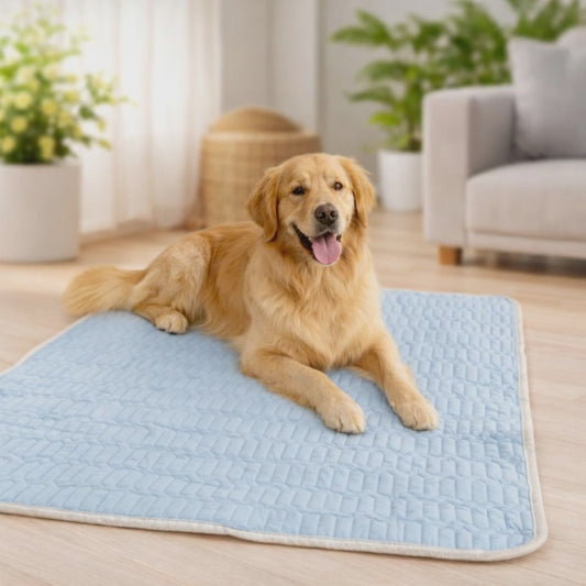 Hund entspannt auf selbstkuehlender Kuehlmatte im Sommer