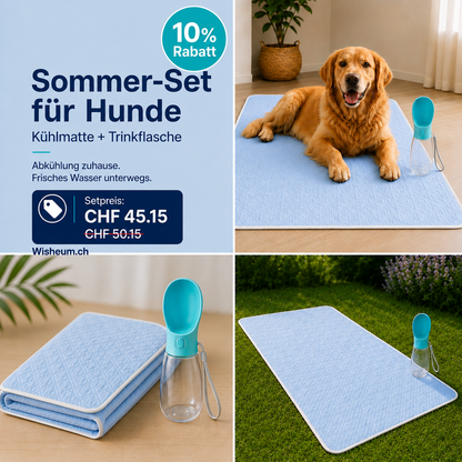 Sommer-Set für Hunde mit türkiser Trinkflasche und kühlender Hundematte