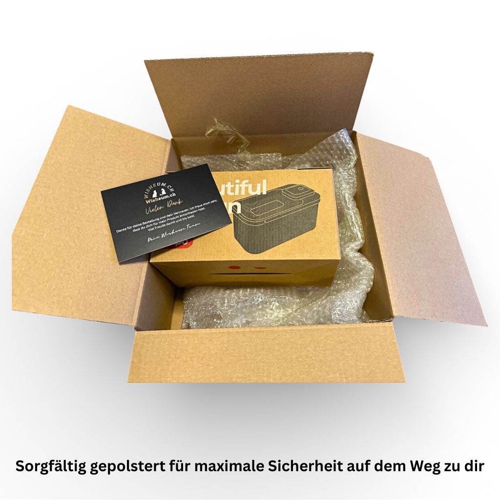 Verpackung des schwarzen Katzen Trinkbrunnens mit Zubehör im Karton