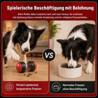 Vergleichsgrafik mit Hundespielzeug zur Beschäftigung links und normalem Fressen aus dem Napf rechts.