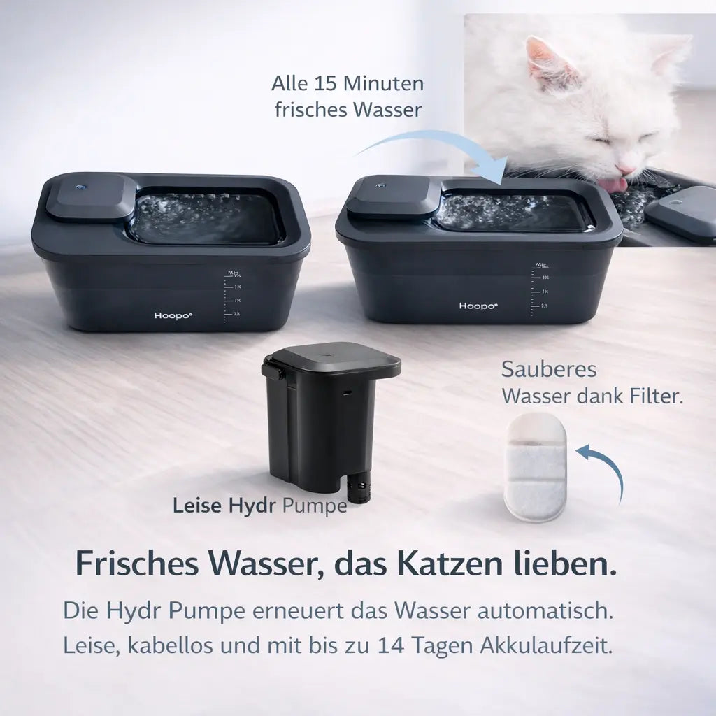 Kabelloser Katzen Trinkbrunnen für frisches Wasser