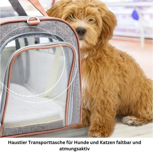 Reisetasche für Haustiere – Ideal für Flug & Ausflug