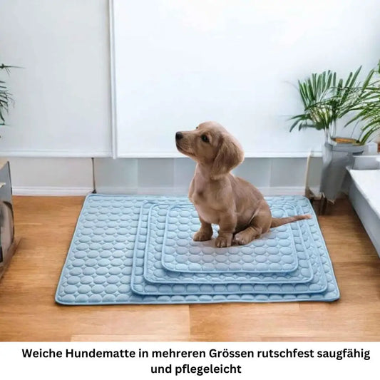 Kühlmatte für Hunde – Erfrischung an heissen Tagen🌞