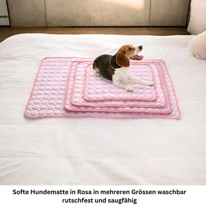 Kühlmatte für Hunde – Erfrischung an heissen Tagen🌞
