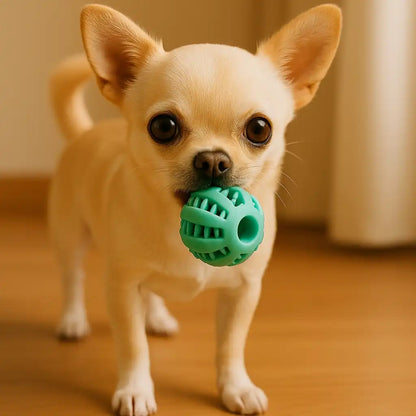 Kauball für Hunde aus Naturgummi