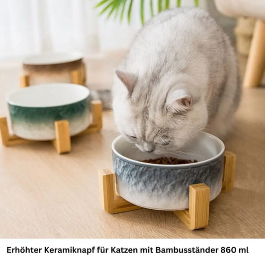 Keramiknapf für Hunde & Katzen