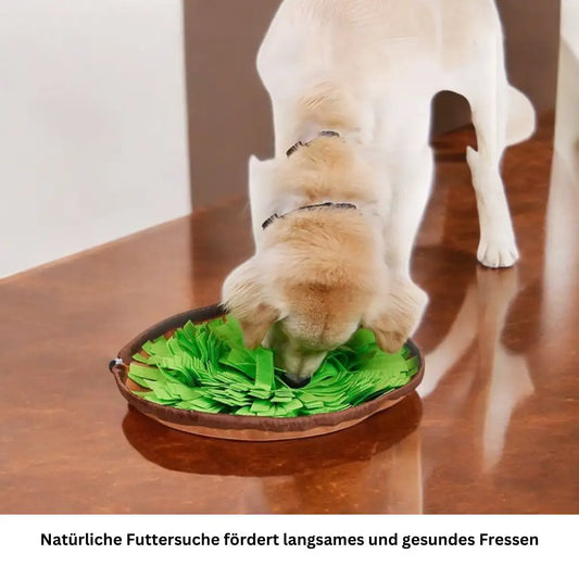 Schnüffelmatte für Hunde – Spiel & Förderung