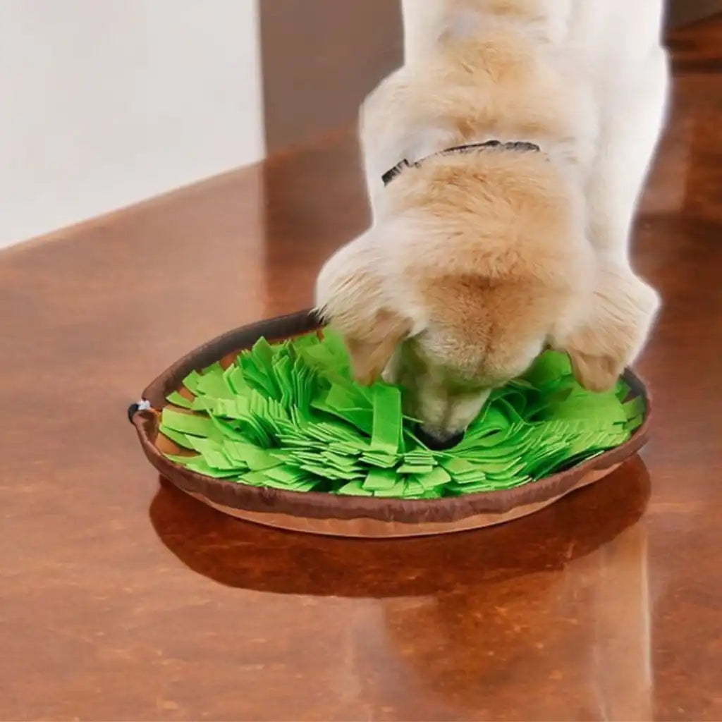 Schnüffelmatte für Hunde Spiel & Förderung