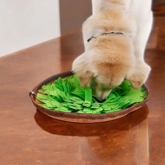 Schnüffelmatte für Hunde Spiel & Förderung