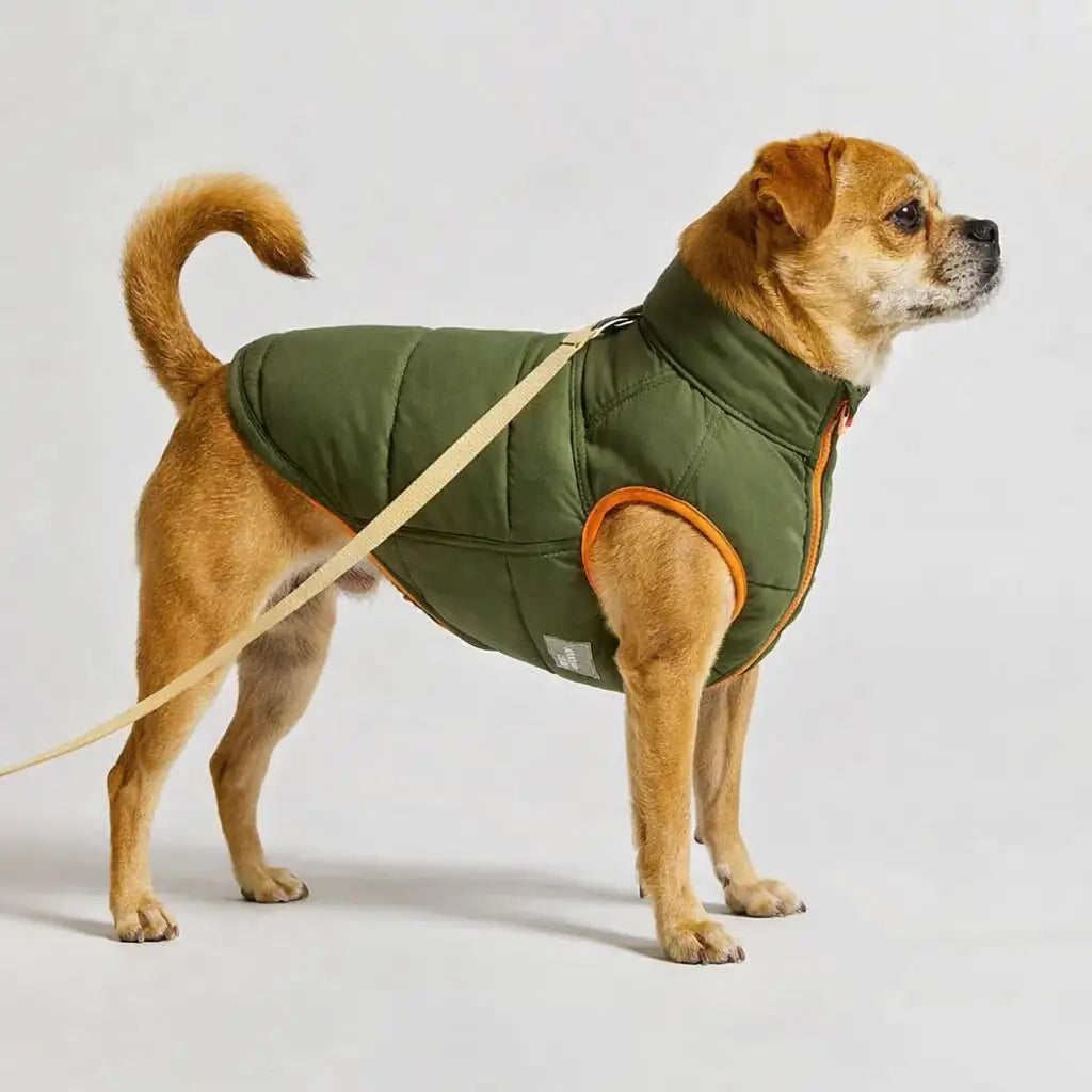 Warme wendbare Daunenjacke