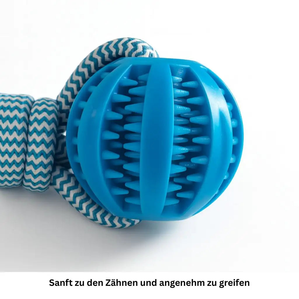 Kauball mit Seil, Snacks & Futter