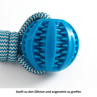 Kauball mit Seil, Snacks & Futter