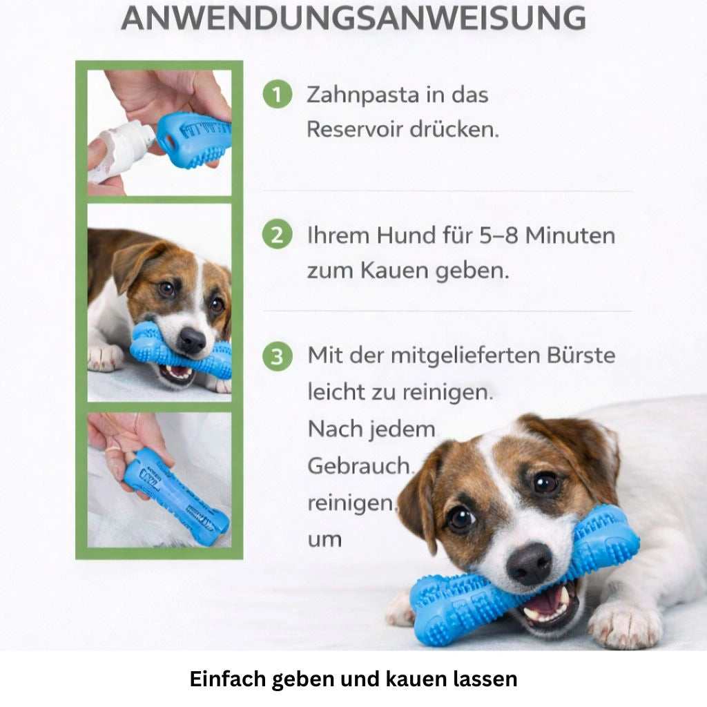 Anwendungsanweisung für das Zahnpflege Kauspielzeug für Hunde mit Schritt für Schritt Erklärung.
