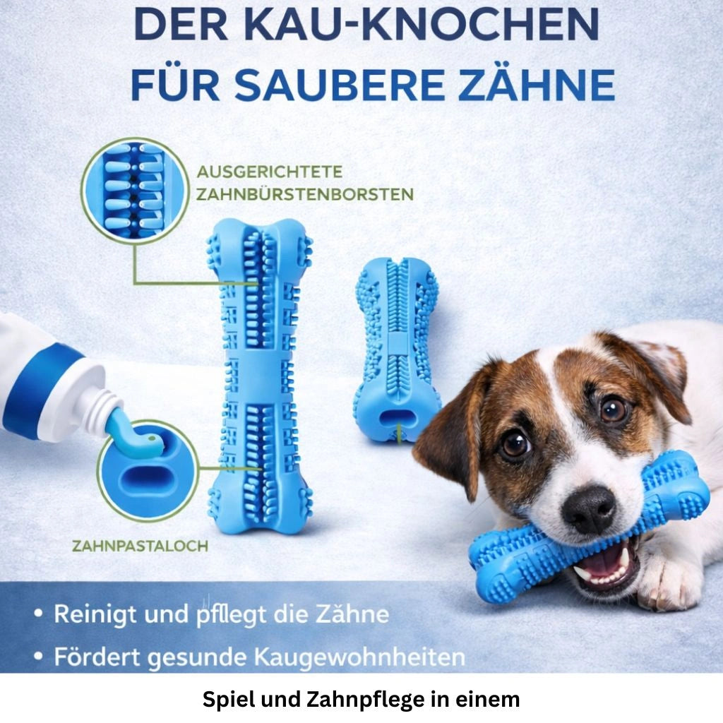 Produktgrafik des Zahnpflege Kauspielzeugs für Hunde mit Bild, Form und Vorteilen.